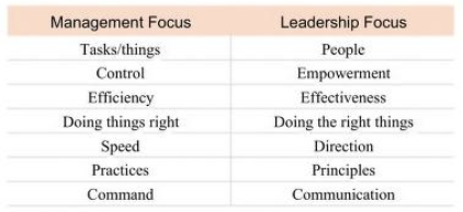 Management Chart